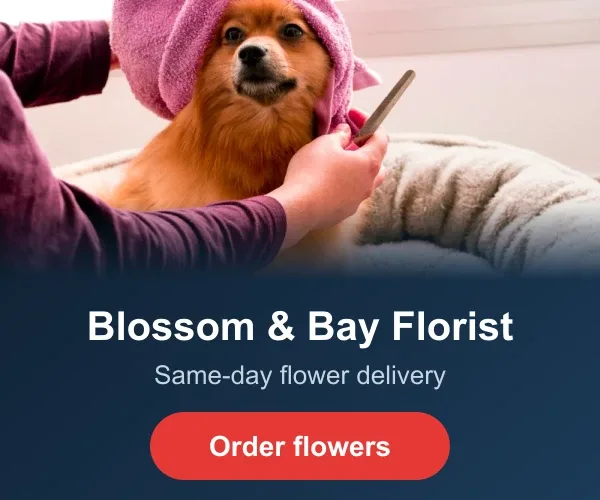 Blossom & Bay Florist